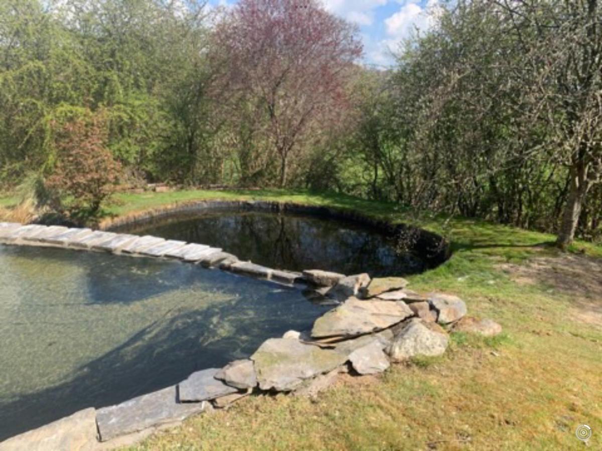 Bryn Melyn Farm Cottages Bala Esterno foto