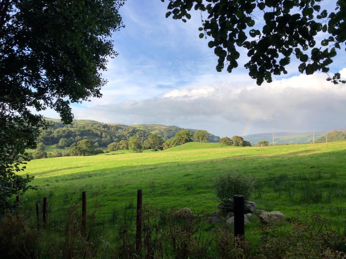 Bryn Melyn Farm Cottages Bala Esterno foto