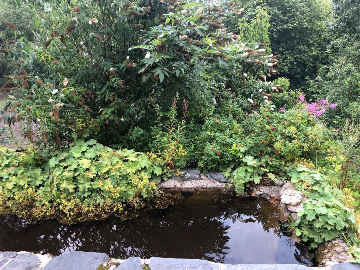 Bryn Melyn Farm Cottages Bala Esterno foto